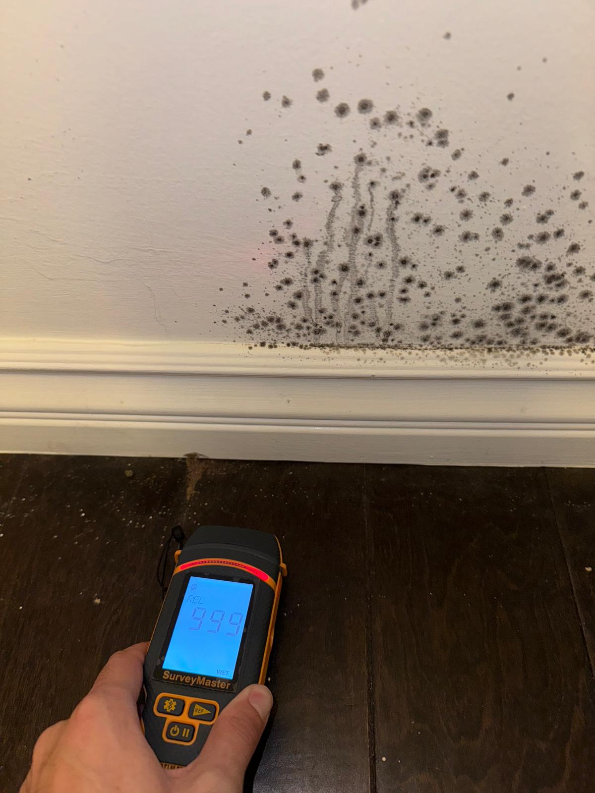 Mold Testing LA inspector taking a moisture reading beside black mold growth along a baseboard